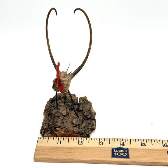 Vintage Devil's Claw Seed Pod Bird Sculpture Mounted on Driftwood Bark - Picture 13 of 13